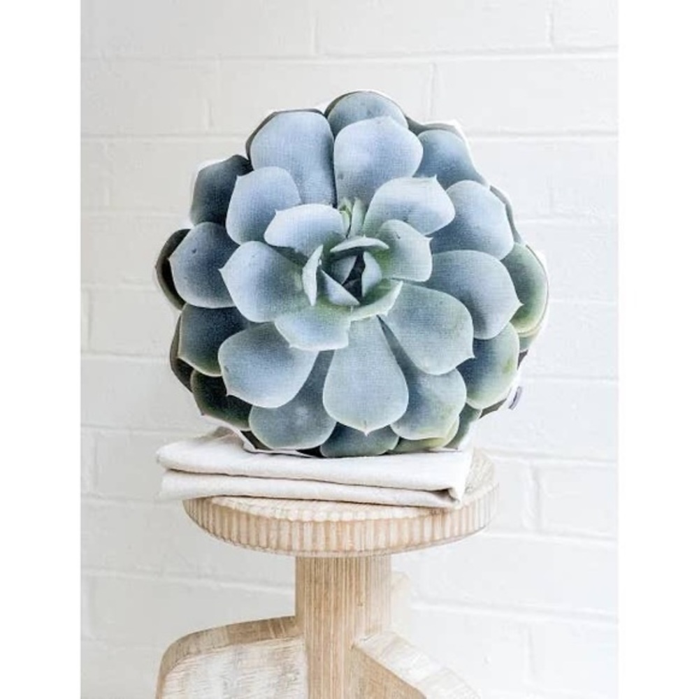 🆕 Topsy Turvy Succulent Linen Pillow